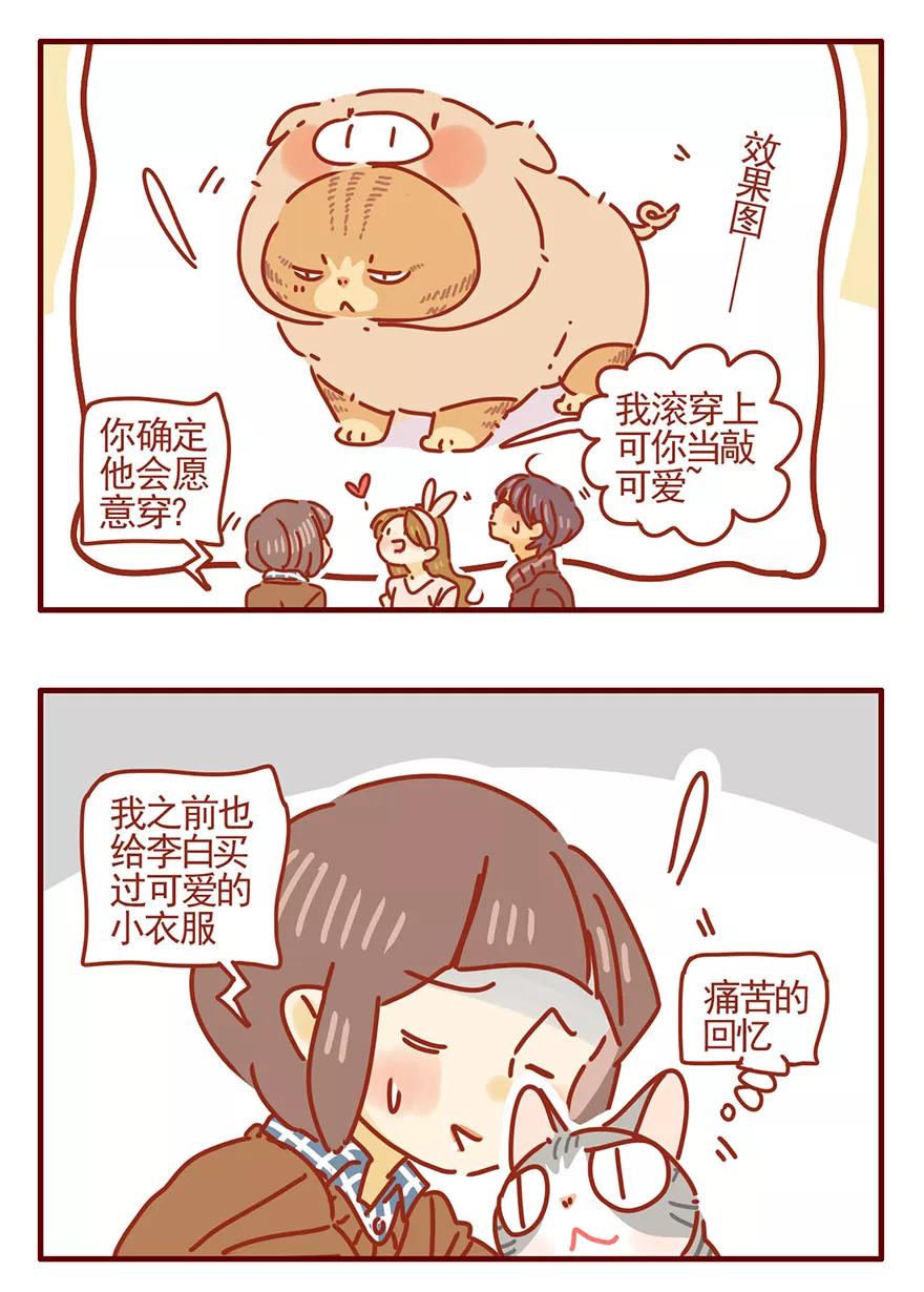 我只是一只小猫咪 第53话 第6页