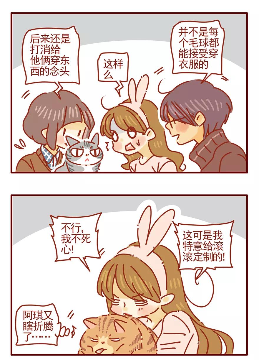 我只是一只小猫咪 第53话 第12页