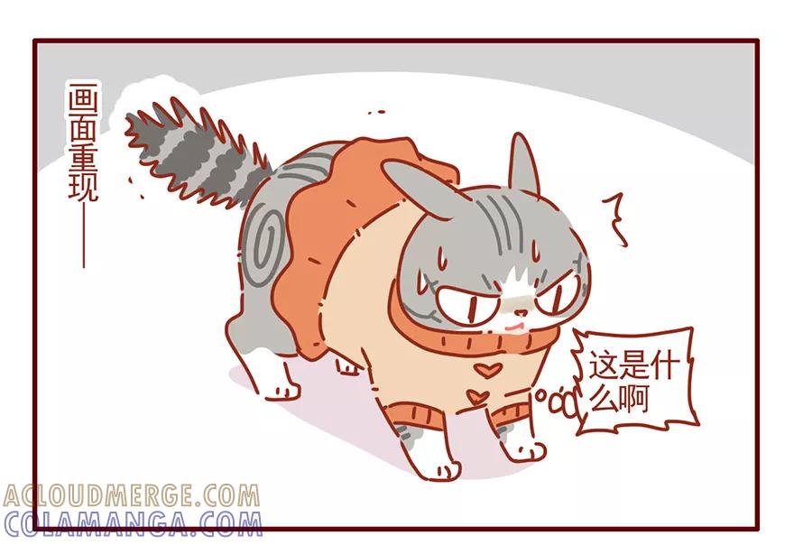我只是一只小猫咪 第53话 第7页