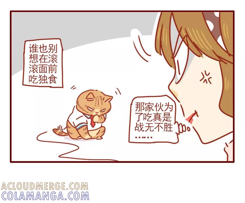 我只是一只小猫咪 第6话 第15页