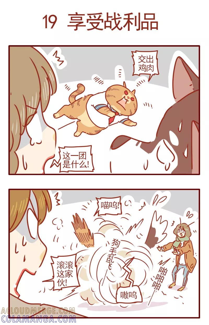 我只是一只小猫咪 第6话 第11页