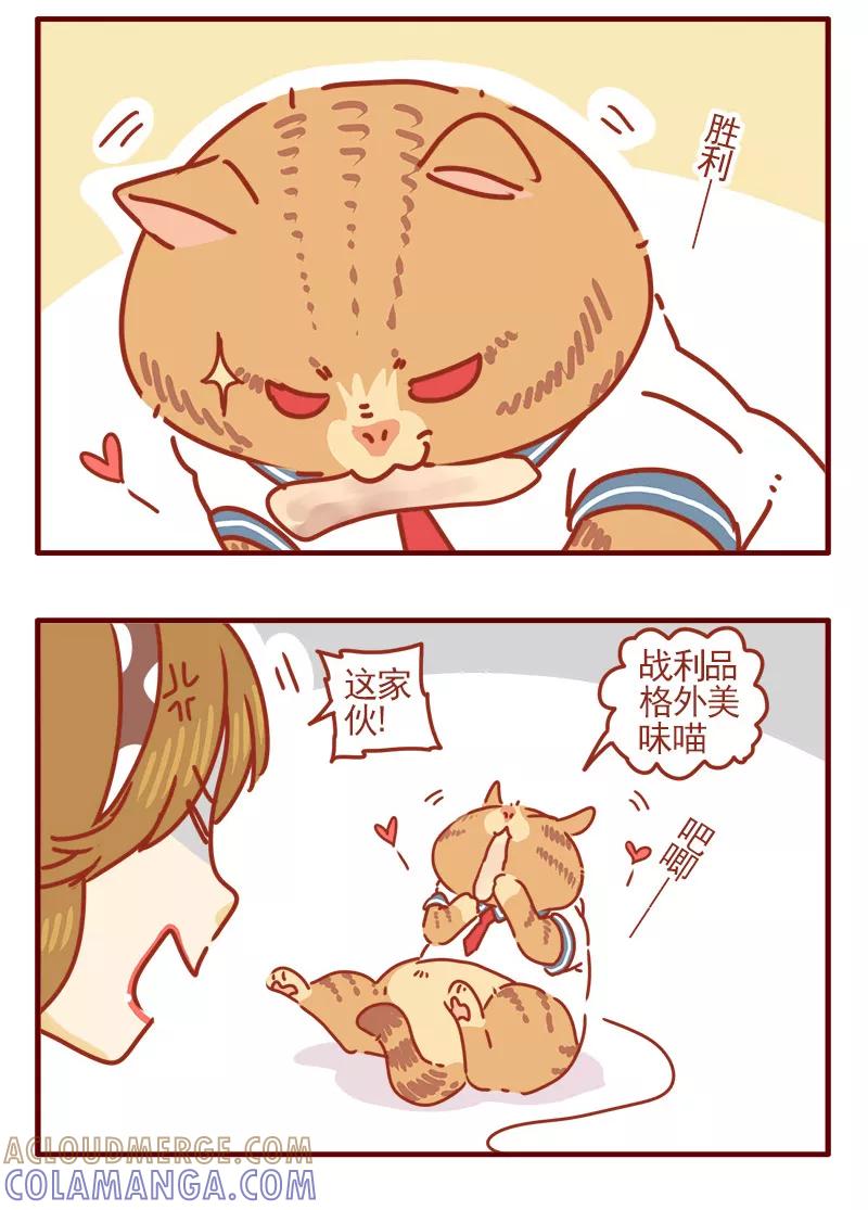 我只是一只小猫咪 第6话 第13页
