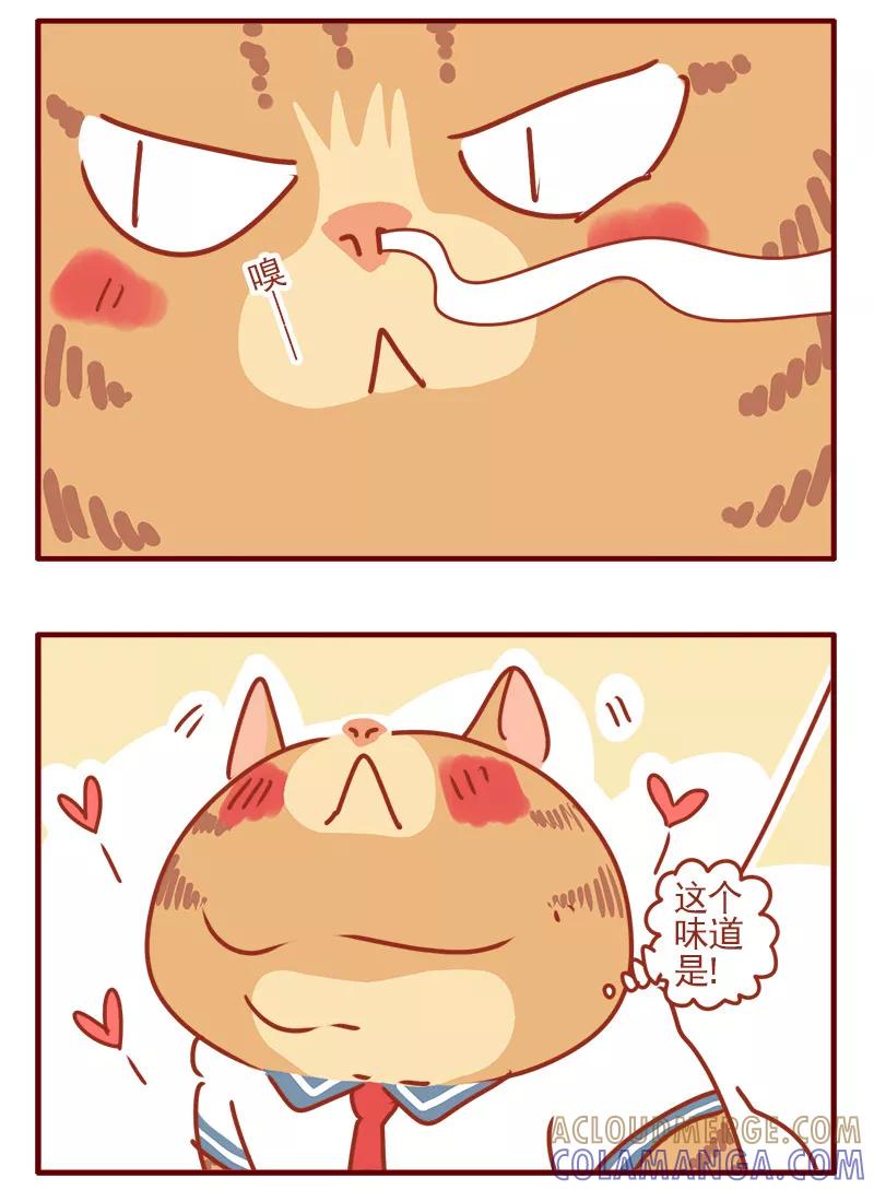 我只是一只小猫咪 第6话 第5页