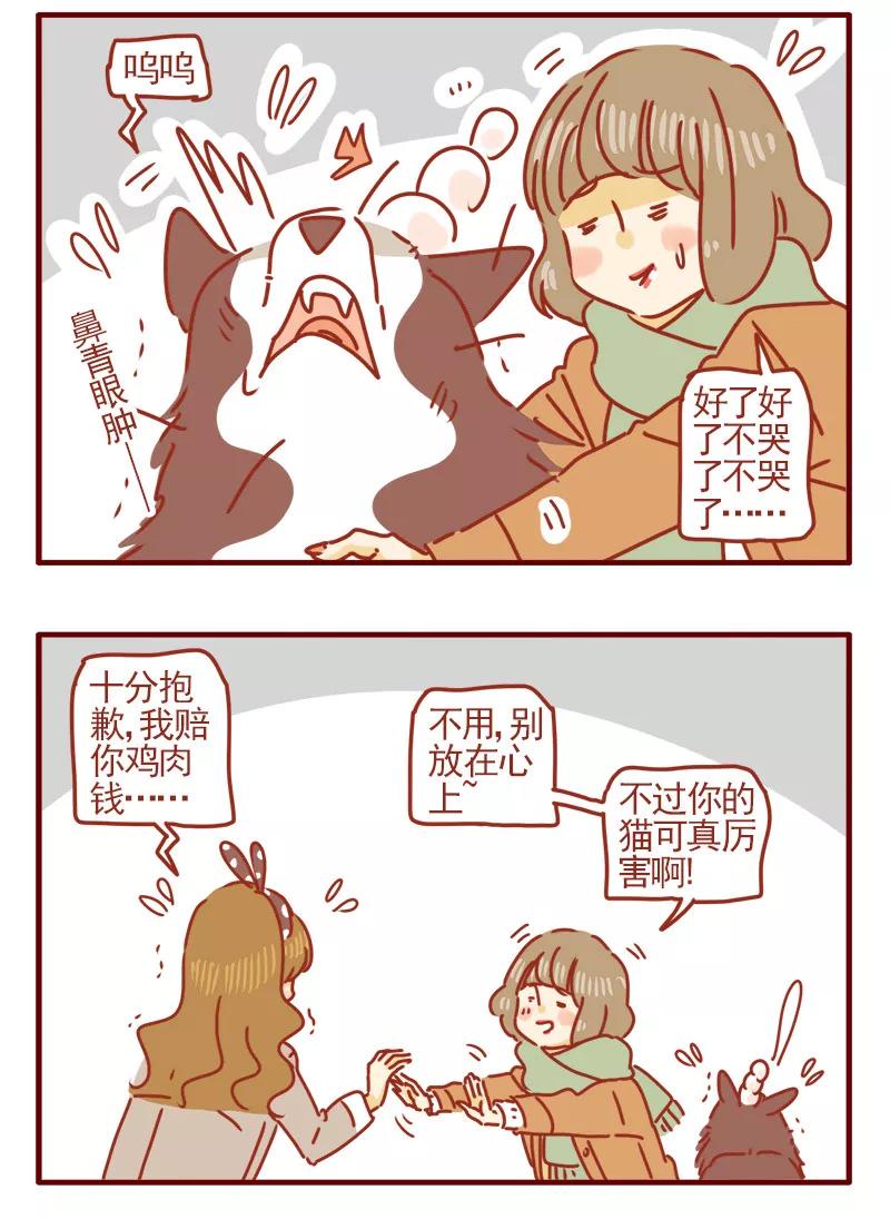 我只是一只小猫咪 第6话 第14页