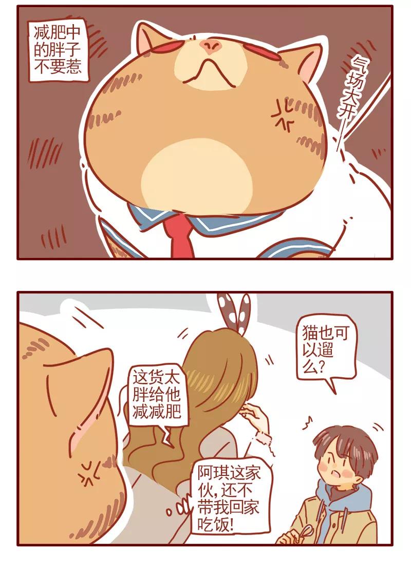 我只是一只小猫咪 第6话 第4页