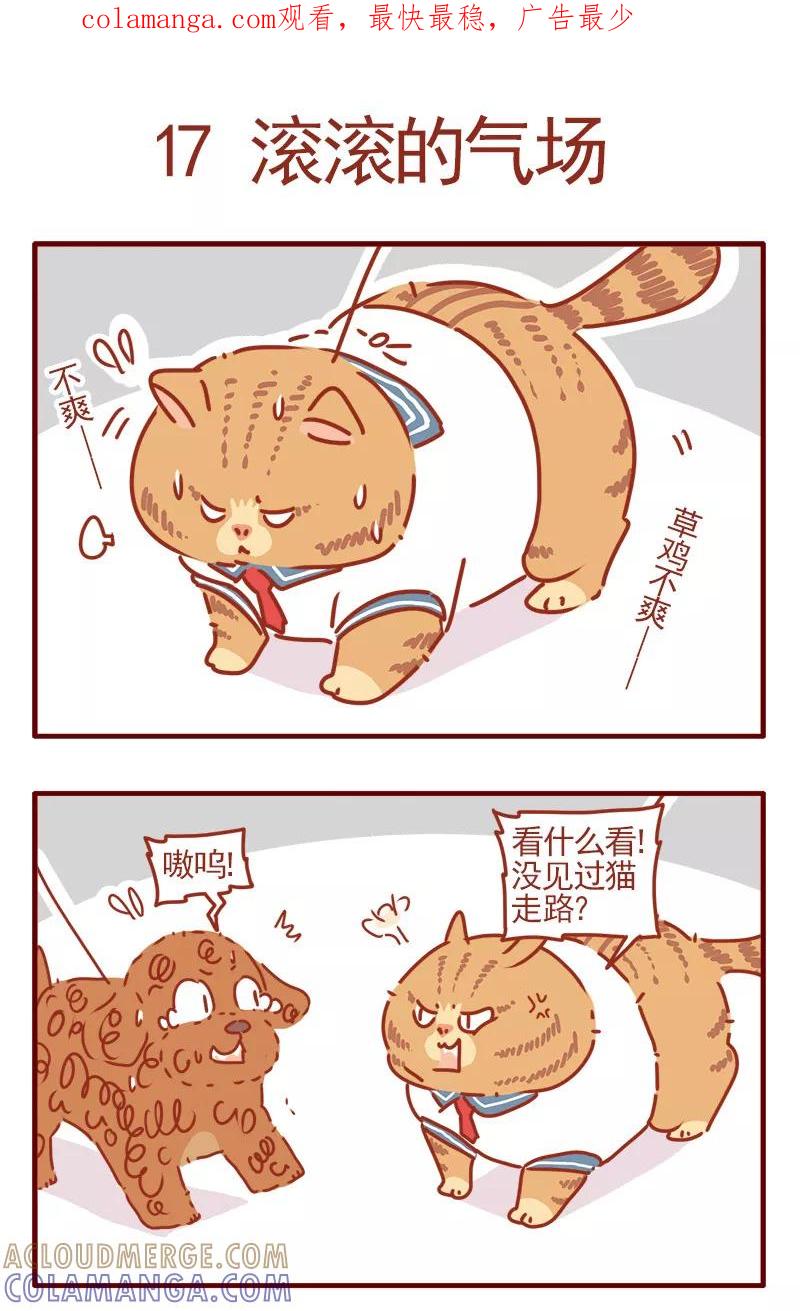 我只是一只小猫咪 第6话 第1页