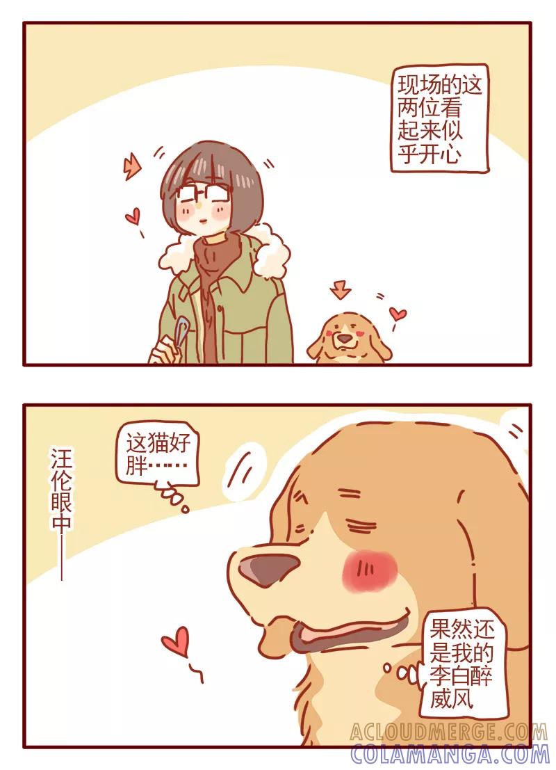我只是一只小猫咪 第7话 第3页
