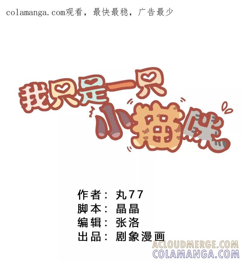 我只是一只小猫咪 第7话 第1页
