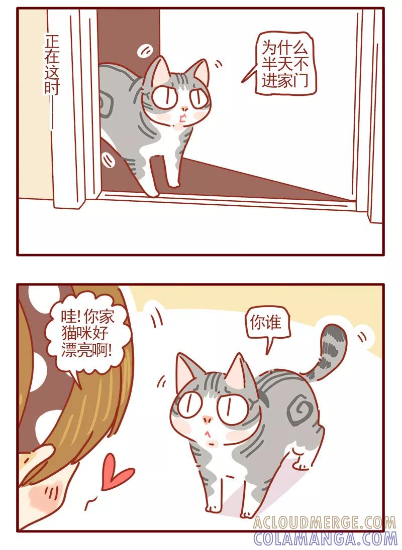 我只是一只小猫咪 第7话 第15页