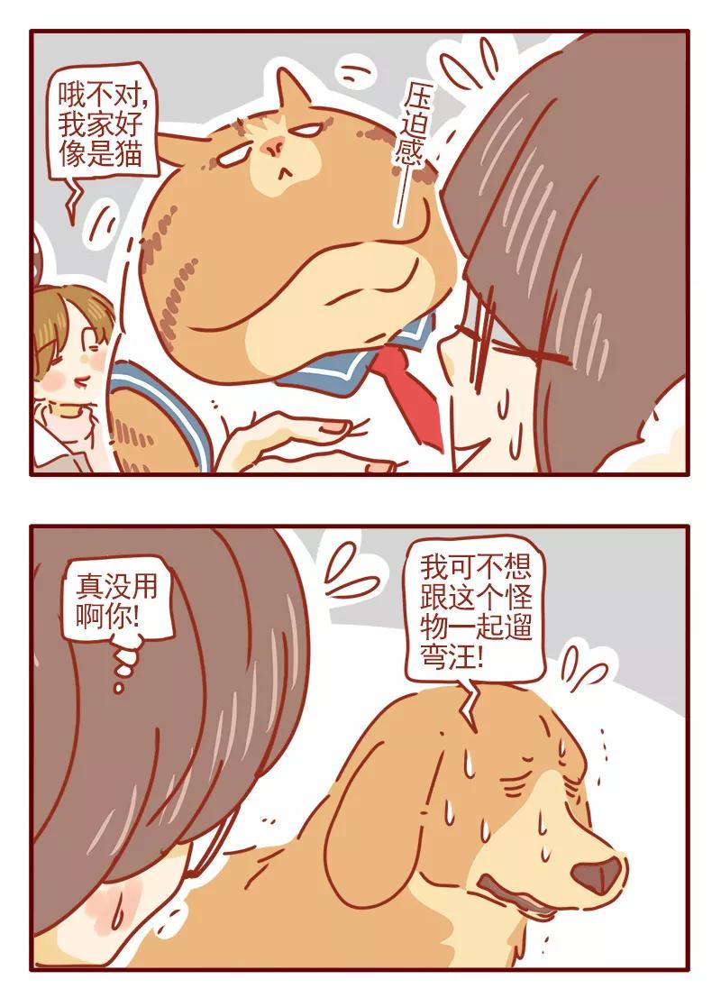 我只是一只小猫咪 第7话 第14页