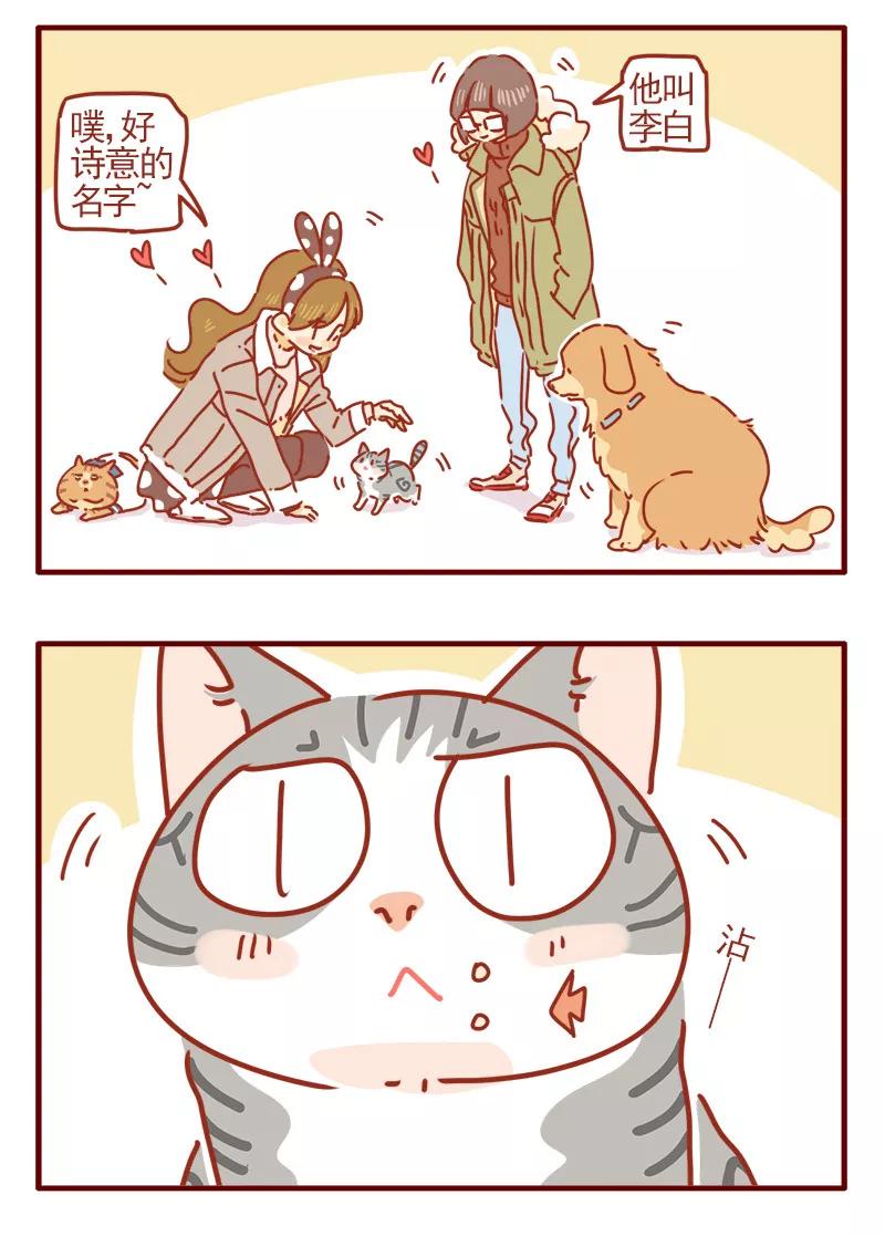 我只是一只小猫咪 第7话 第16页