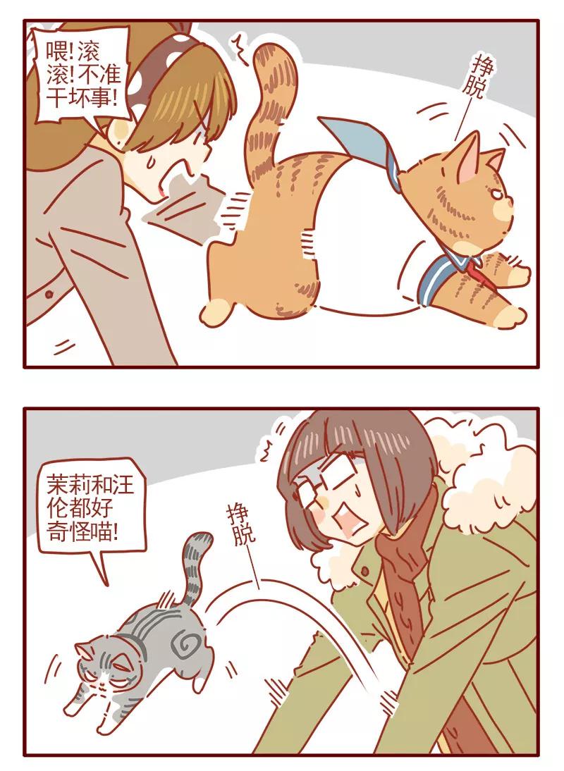 我只是一只小猫咪 第8话 第4页