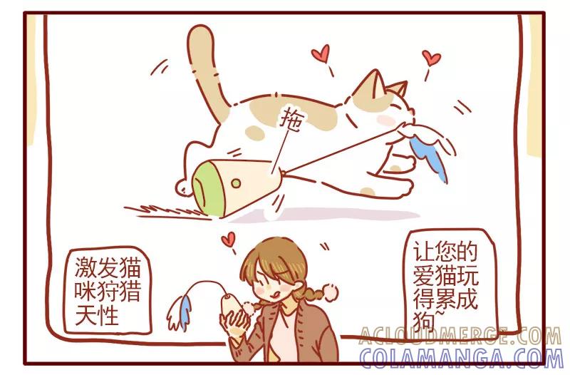 我只是一只小猫咪 第8话 第19页