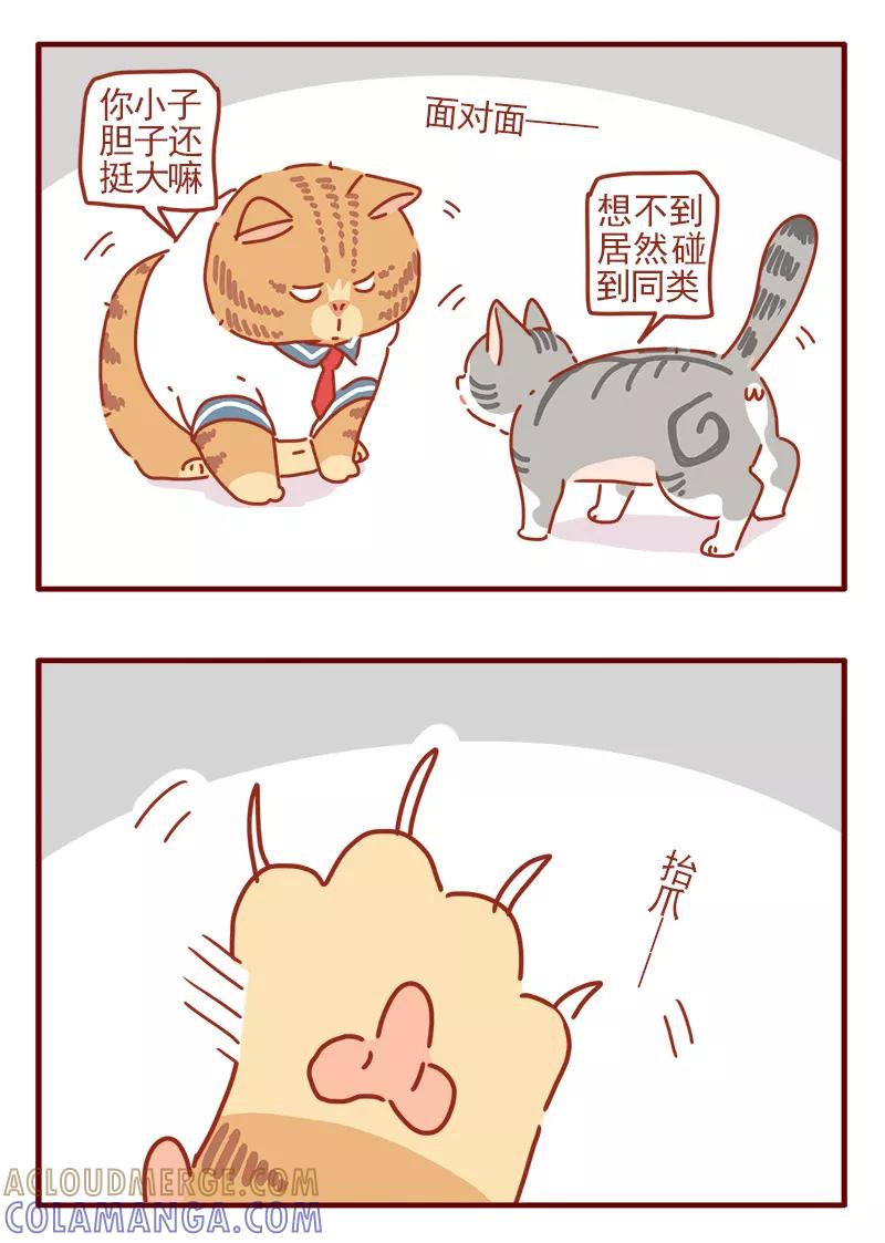 我只是一只小猫咪 第8话 第5页