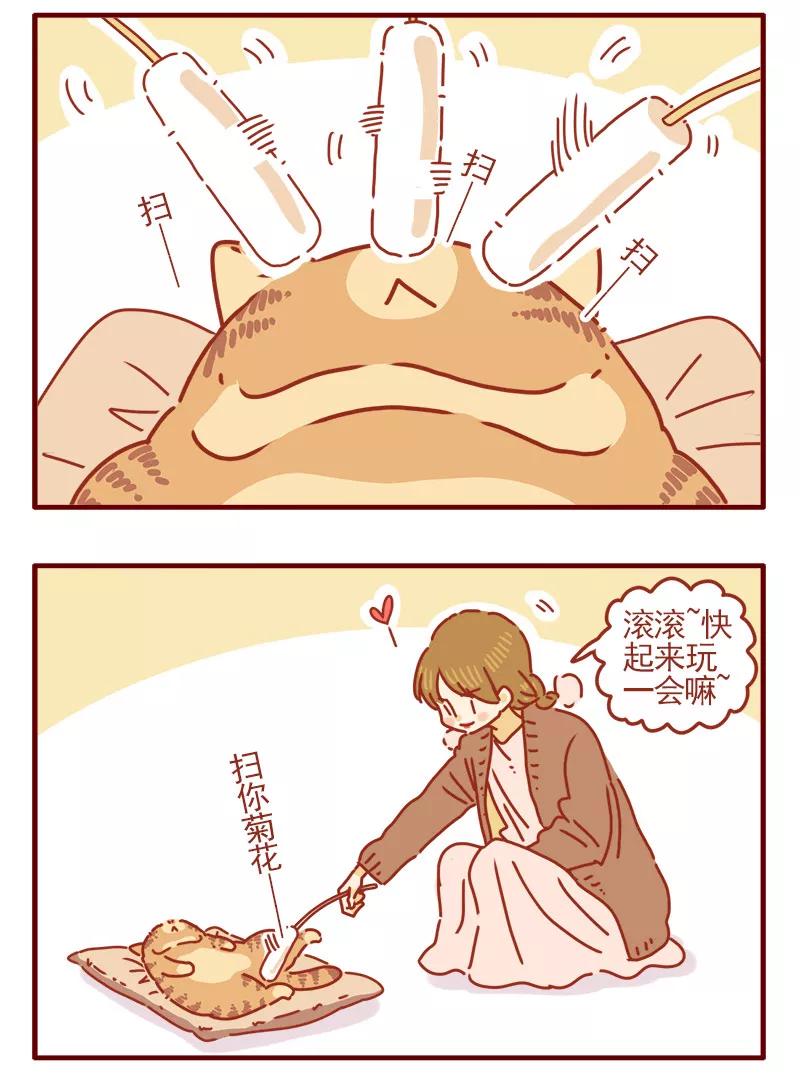 我只是一只小猫咪 第8话 第16页