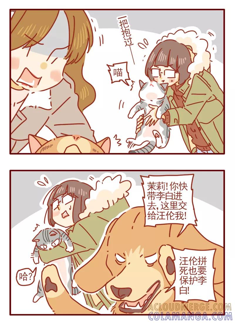 我只是一只小猫咪 第8话 第3页