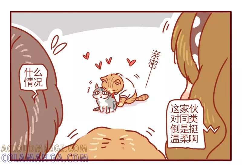 我只是一只小猫咪 第8话 第7页