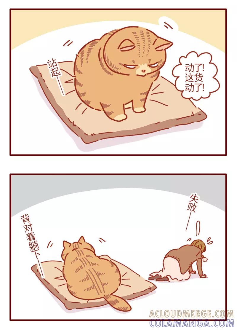 我只是一只小猫咪 第8话 第17页