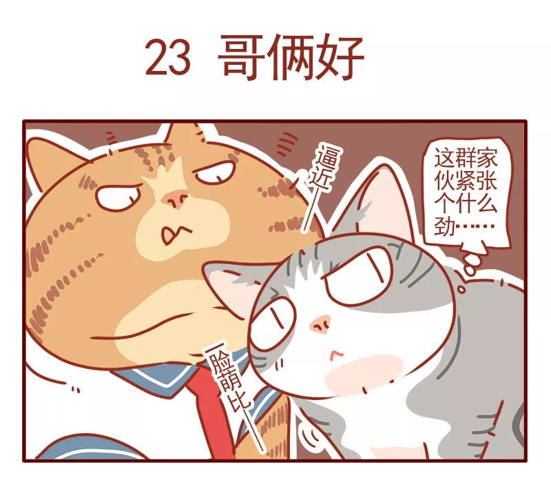 我只是一只小猫咪 第8话 第2页