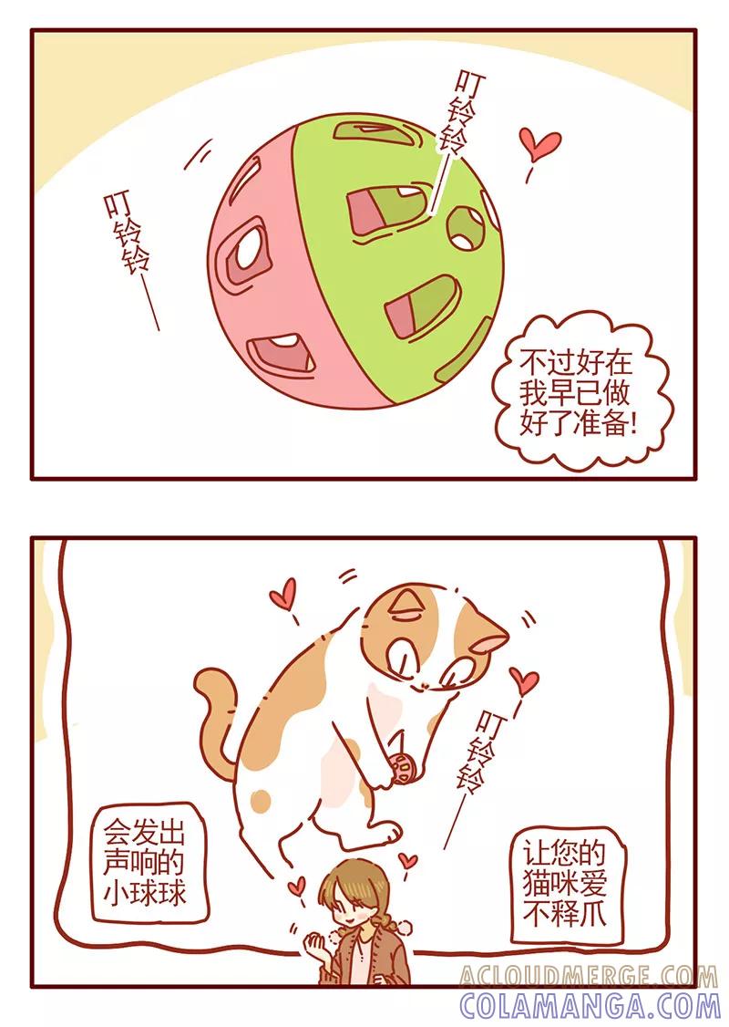 我只是一只小猫咪 第8话 第11页