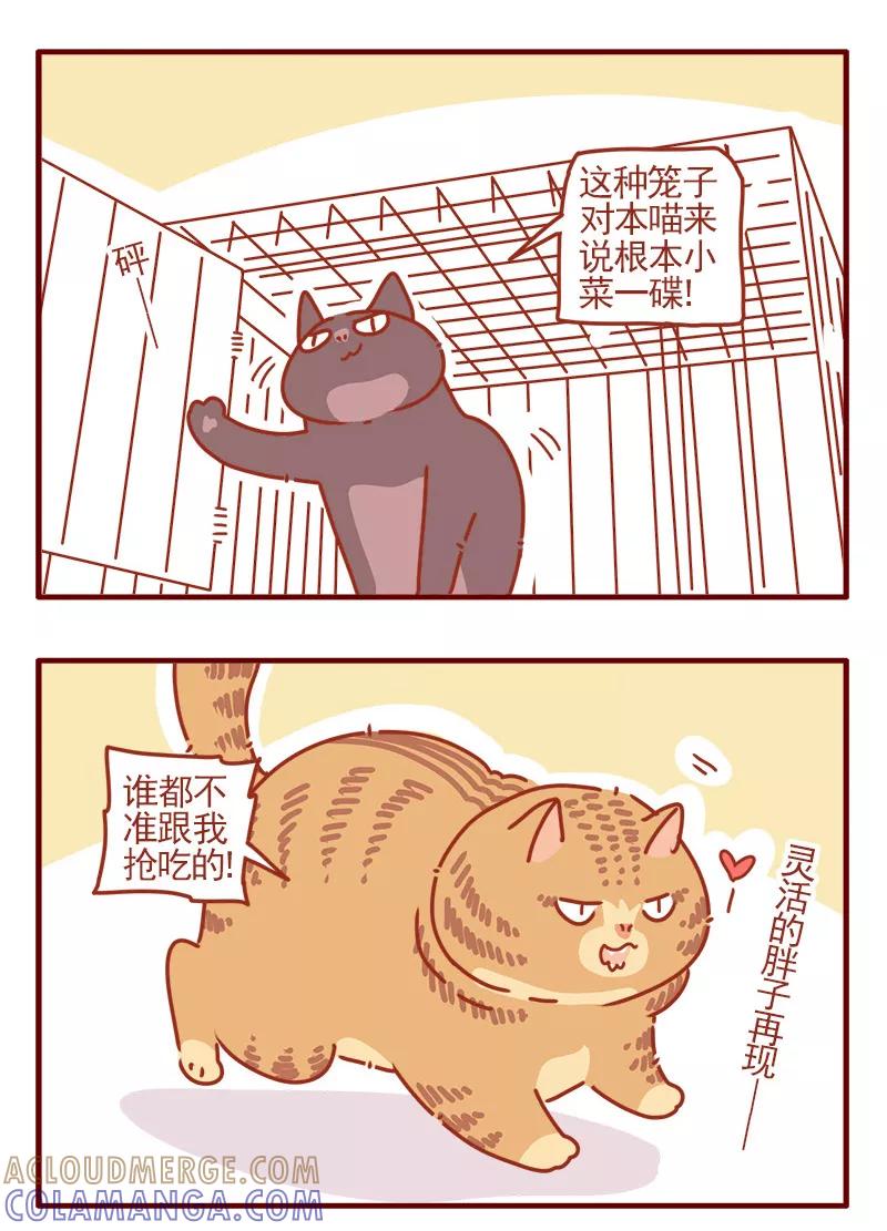我只是一只小猫咪 第9话 第15页