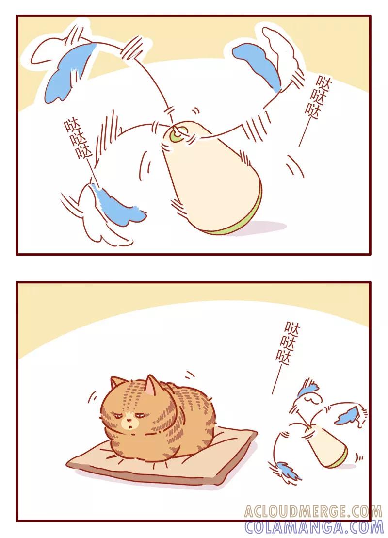 我只是一只小猫咪 第9话 第3页