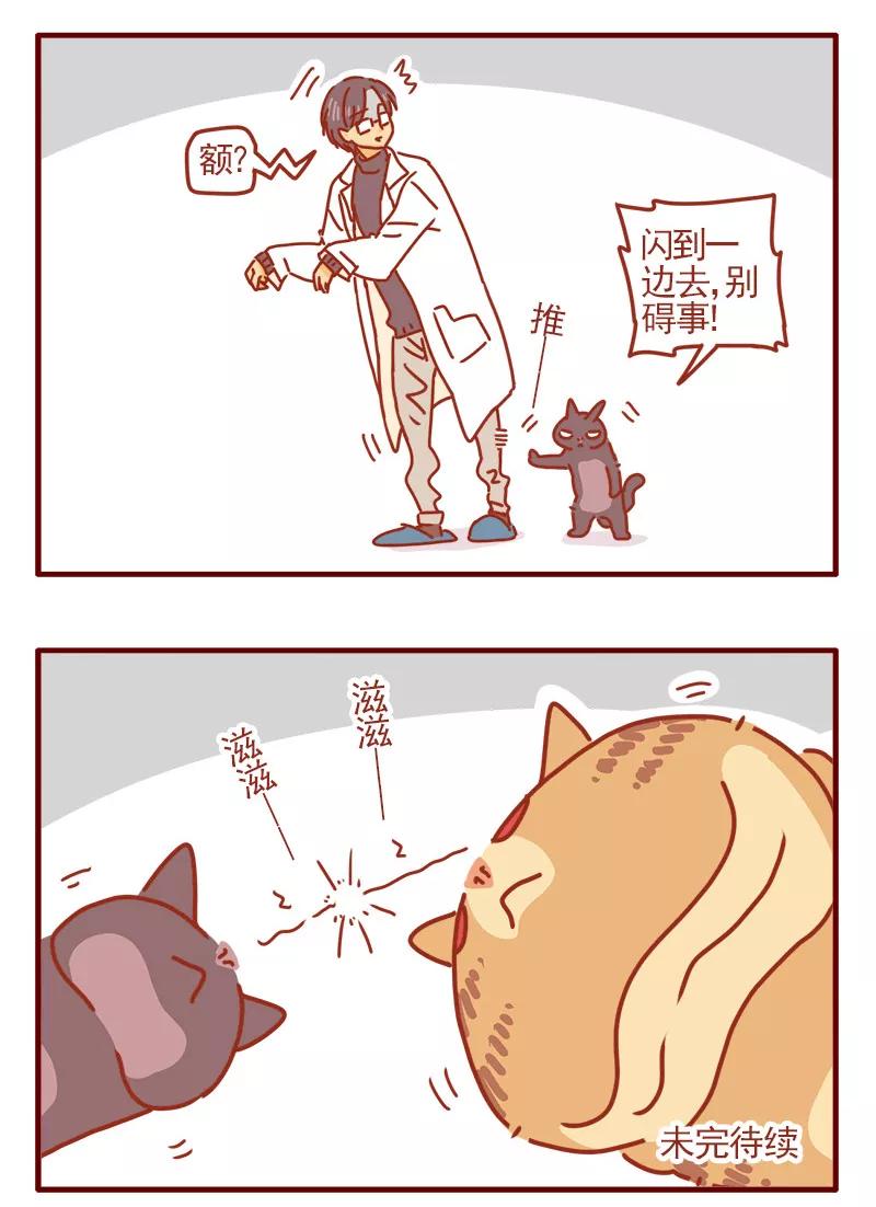我只是一只小猫咪 第9话 第18页
