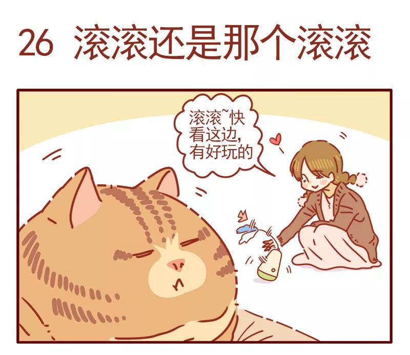 我只是一只小猫咪 第9话 第2页