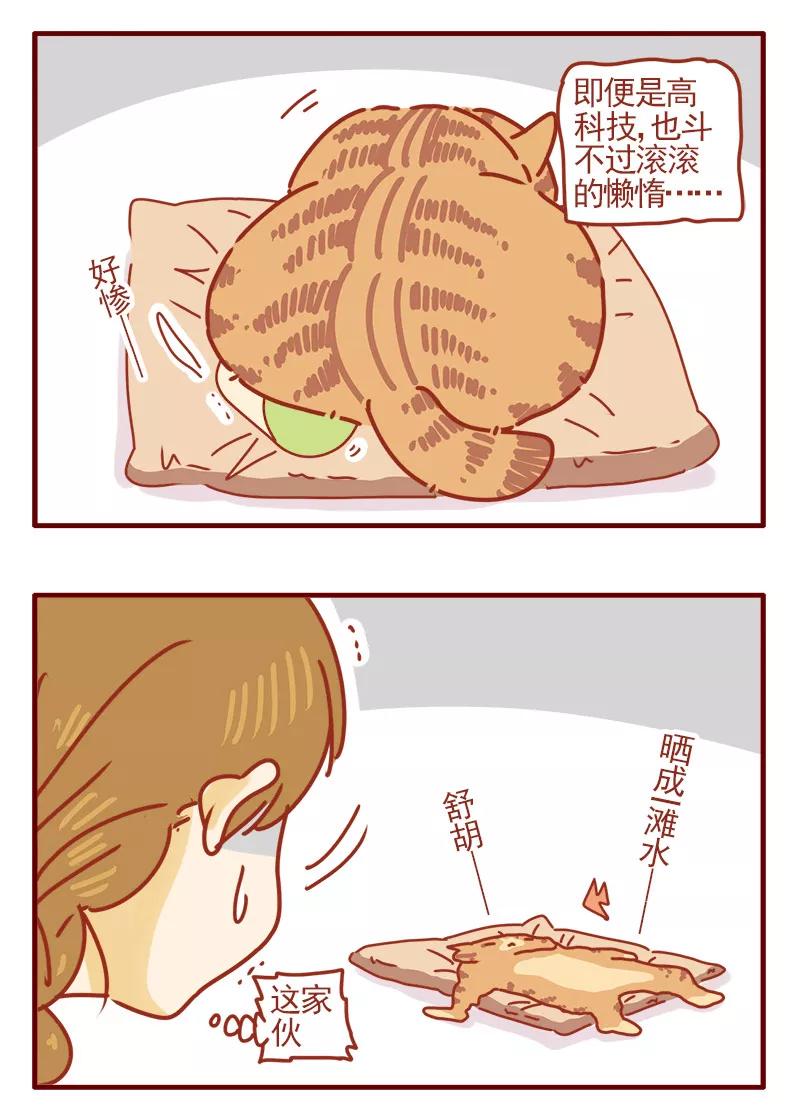 我只是一只小猫咪 第9话 第6页