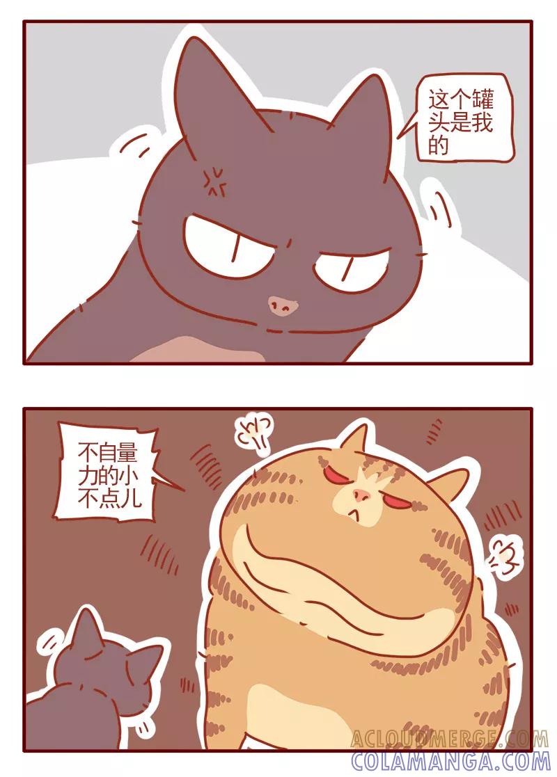 我只是一只小猫咪 第9话 第17页