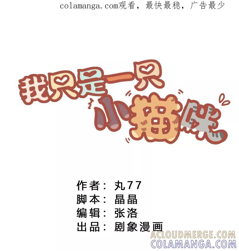 我只是一只小猫咪 第9话 第1页