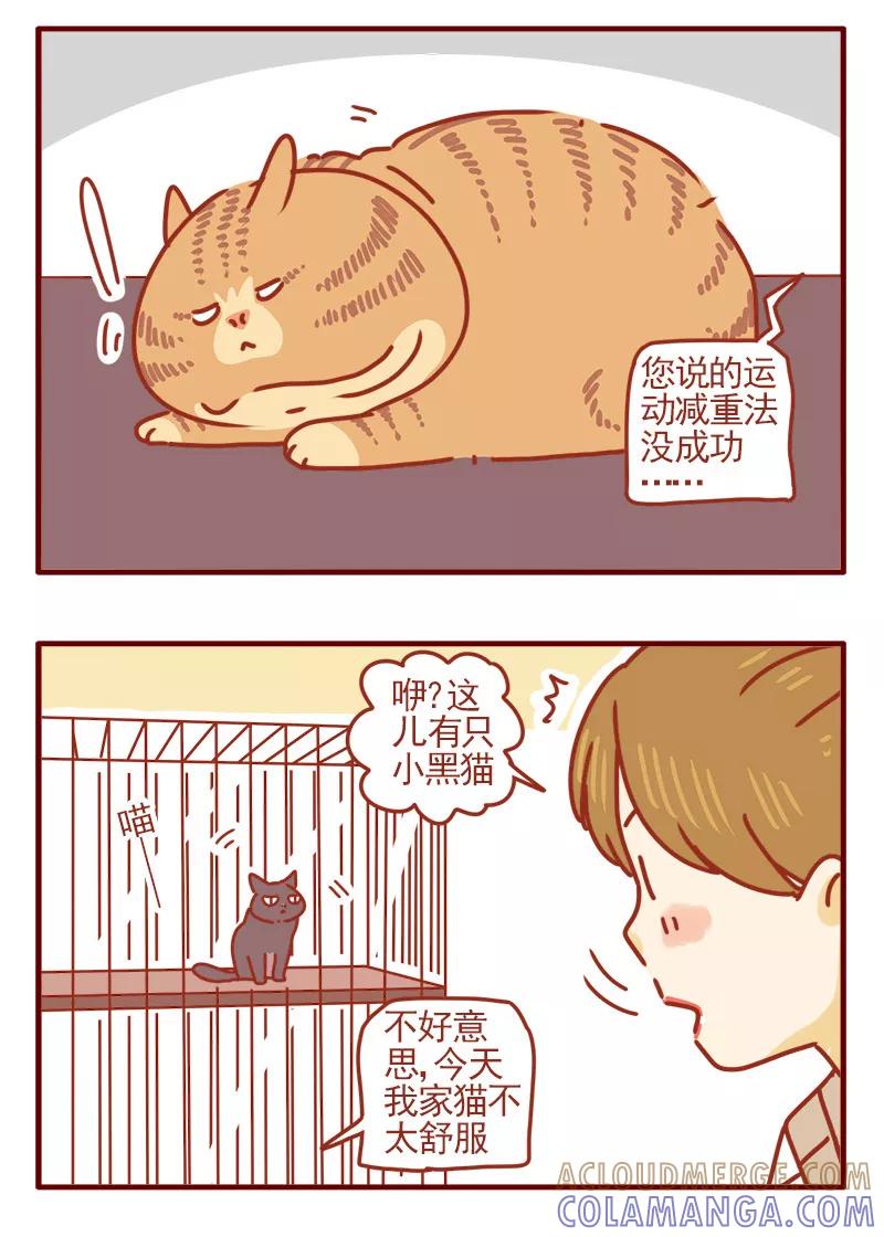 我只是一只小猫咪 第9话 第11页