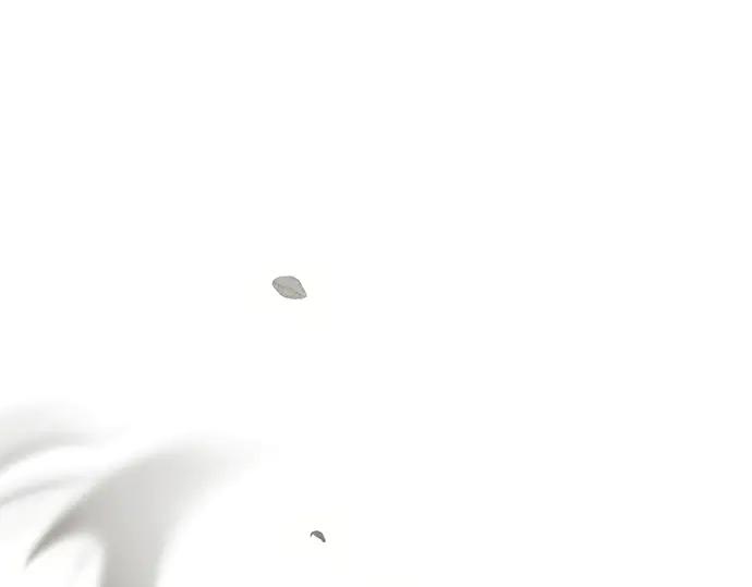 《黑暗皇女：雅什泰洛迪》第88话 第2页