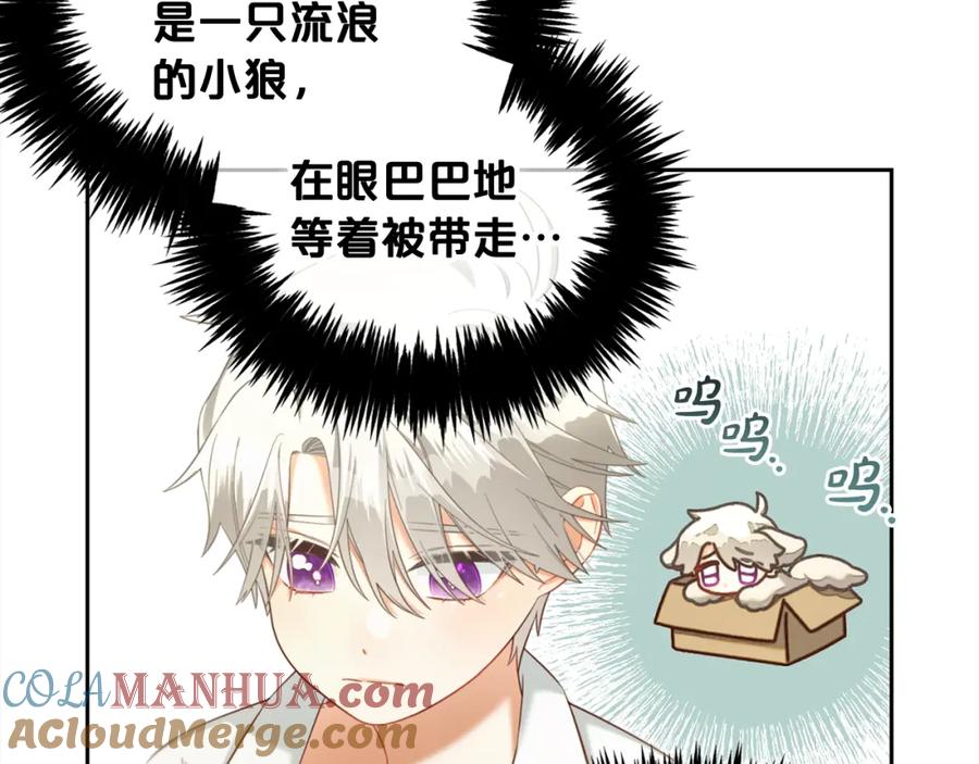 我只需要黏在男主身边 - 第16话 保护 - 第132张图