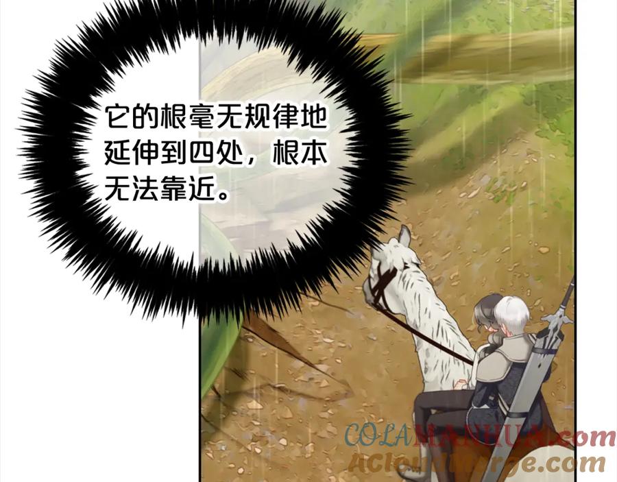 我只需要黏在男主身边 - 第29话 遇袭 - 第97张图