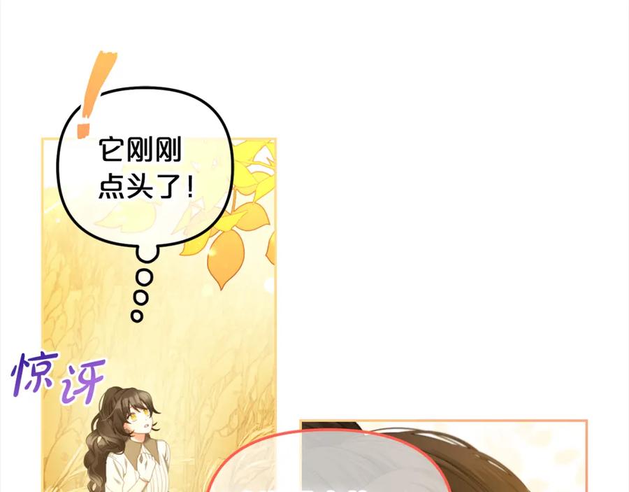 我只需要黏在男主身边 - 第47话 真正的黄金平原 - 第44张图