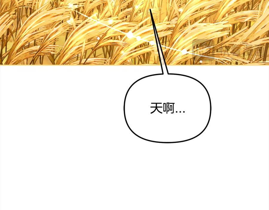 我只需要黏在男主身边 - 第47话 真正的黄金平原 - 第36张图