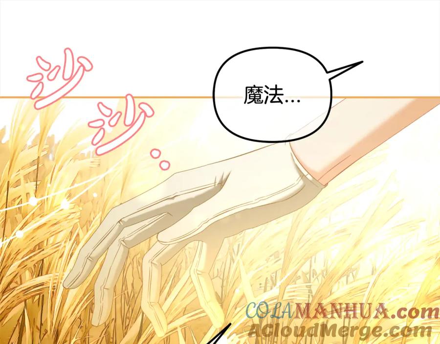 我只需要黏在男主身边 - 第47话 真正的黄金平原 - 第29张图