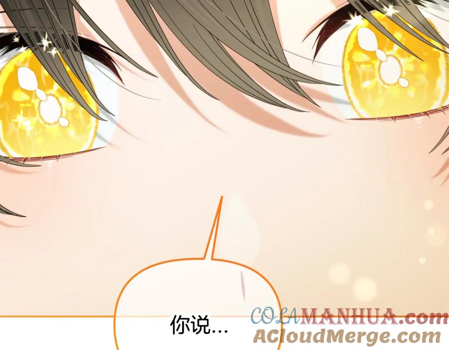 我只需要黏在男主身边 - 第50话 宝石 - 第73张图