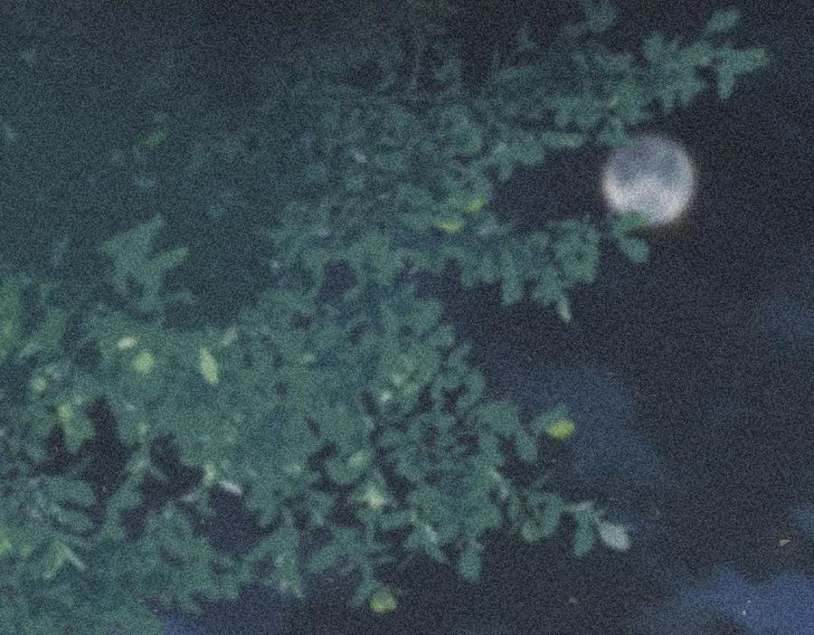 我走后，王爷痛不欲生 - 第22话 死无对证 - 第80张图