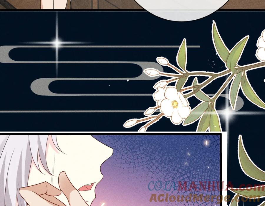 我走后，王爷痛不欲生 - 第23话 白洛，你不认得我了？ - 第9张图