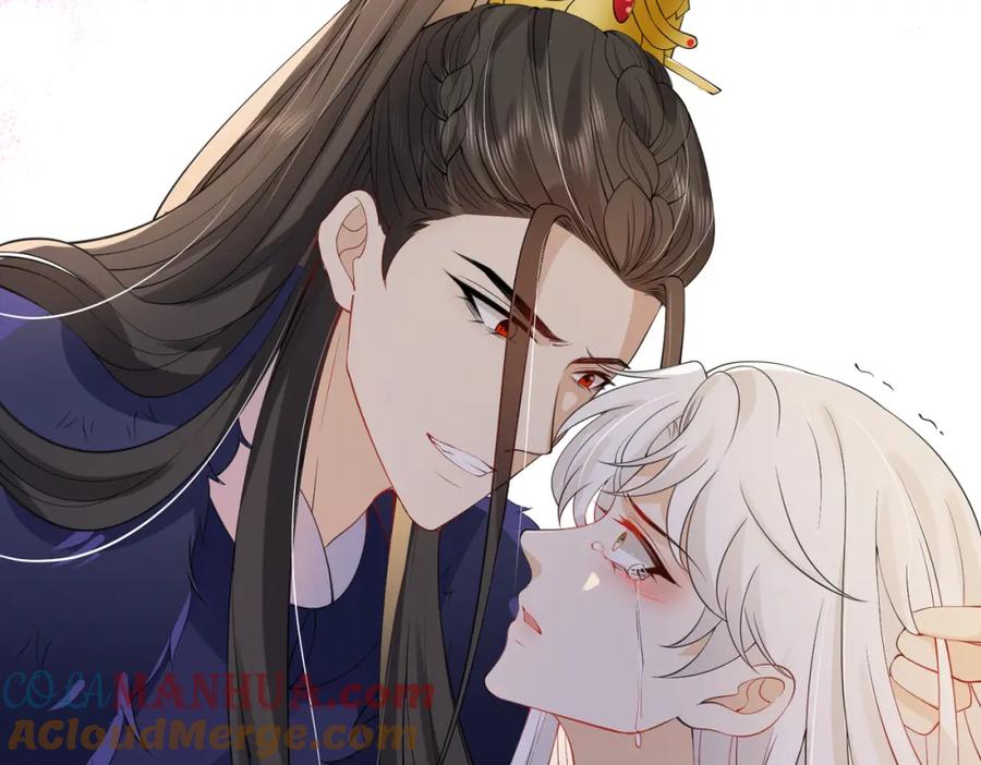 我走后，王爷痛不欲生 - 第8话 给大家玩乐的东西 - 第13张图