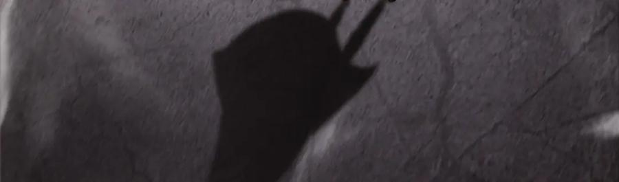 我，最强BOSS - 19 - 第103张图