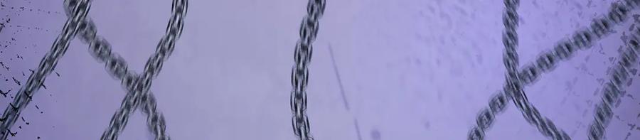 我，最强BOSS - 27 - 第138张图