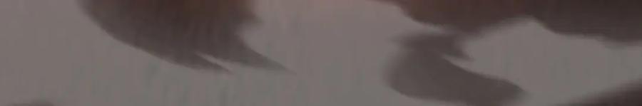 我，最强BOSS - 07 - 第54张图