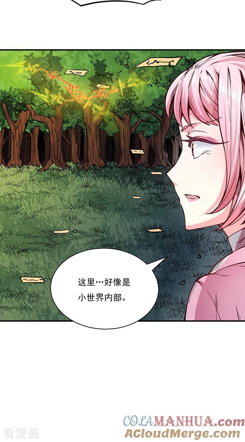 《武道独尊》第215话 符阵小世界 第25页