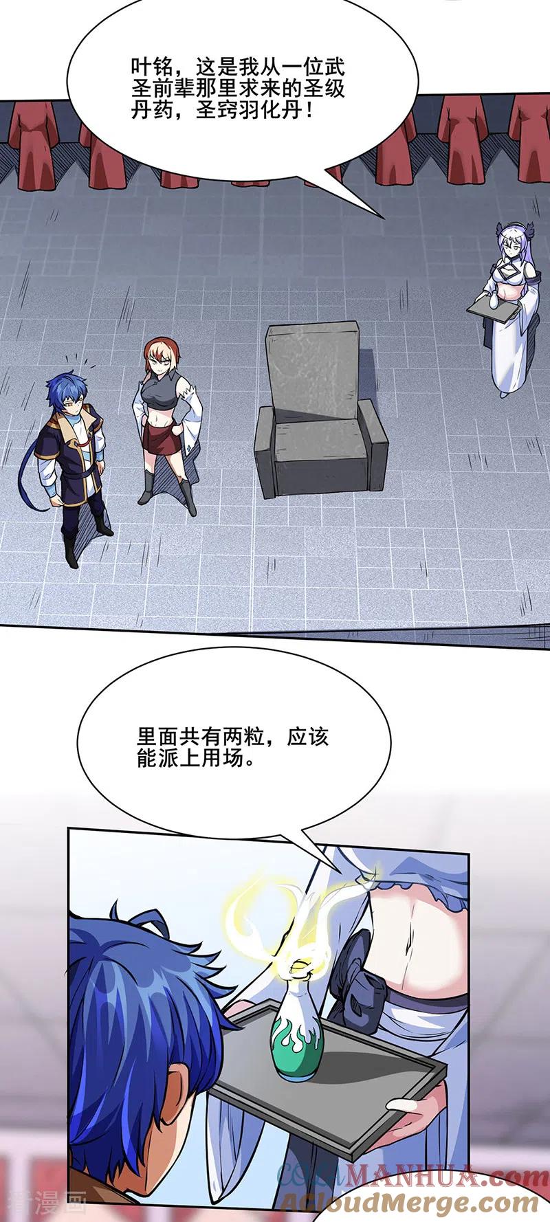 《武道独尊》第249话 圣窍羽化丹 第11页