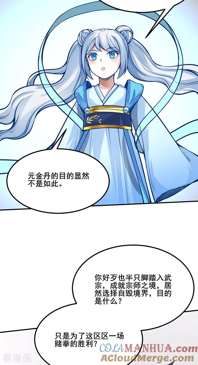 《武道独尊》第253话 自毁境界 第29页