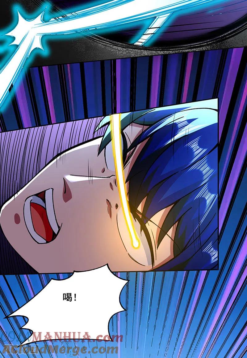 《武道独尊》第267话 主力不在此 第13页
