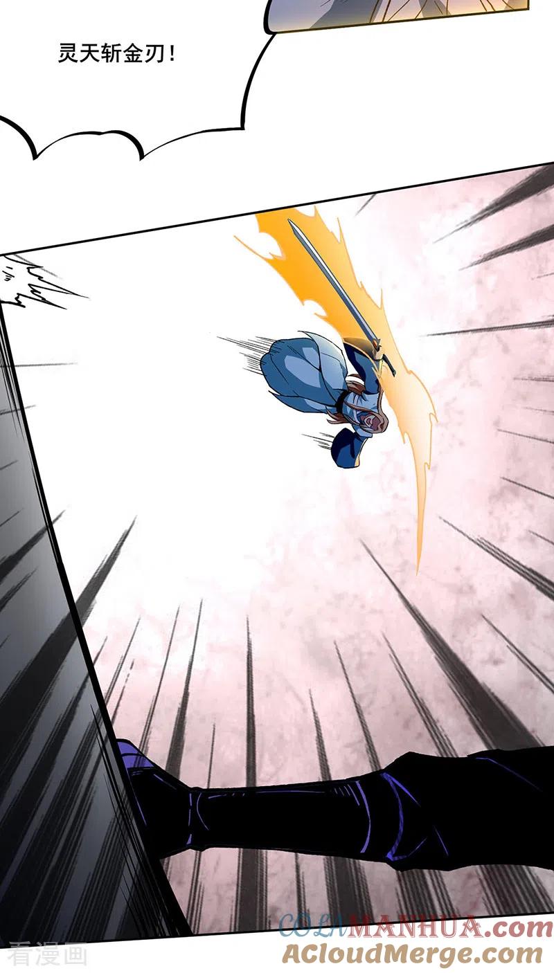 《武道独尊》第269话 灵剑血脉 第13页